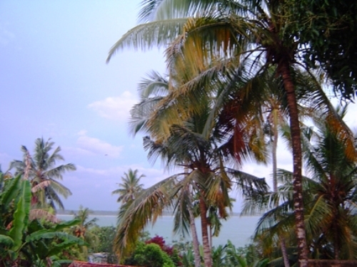 Land With breathtaking views of the Weligama Bay