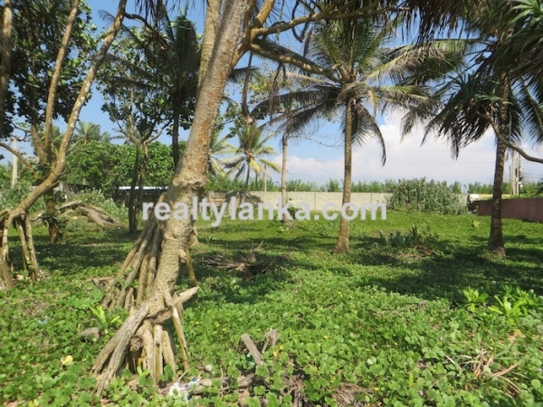 Beachfront 83 Perches Land