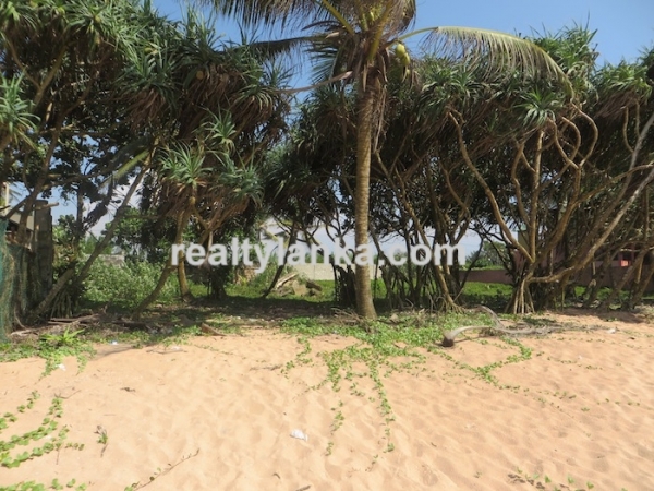 Beachfront 83 Perches Land