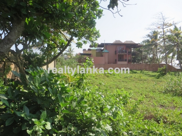 Beachfront 83 Perches Land