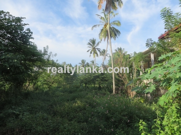 90P Perches in Midigama