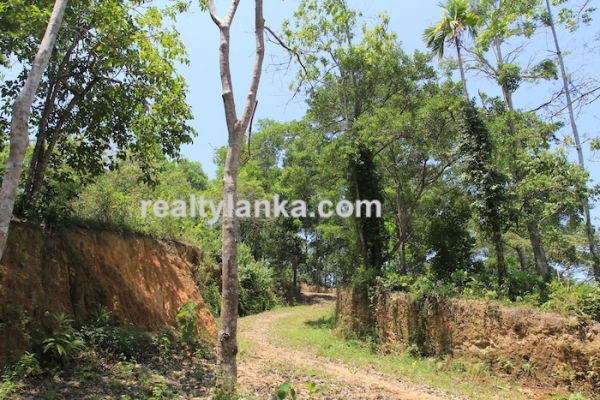 Bareland In Ginthota