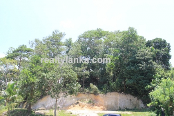 Bareland In Ginthota