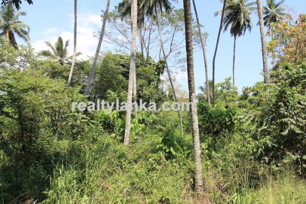 BareLand in Unawatuna