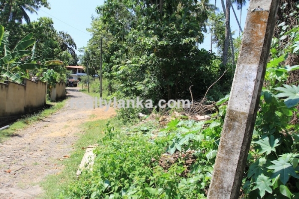 BareLand in Unawatuna