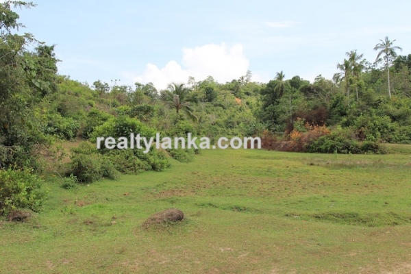 Property with a Relaxing View Over Paady