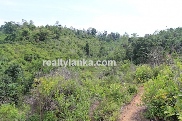 Property with a Relaxing View Over Paady
