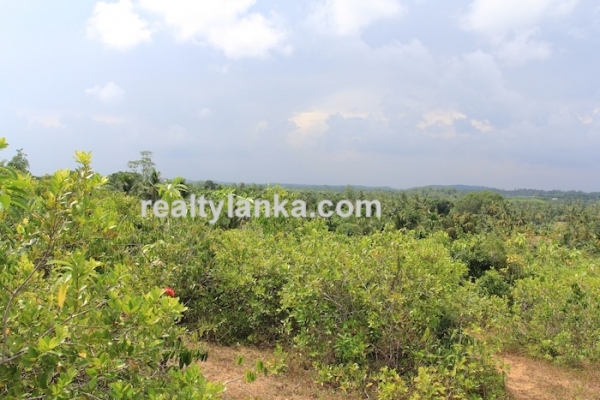 Property with a Relaxing View Over Paady