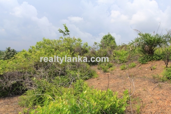 Property with a Relaxing View Over Paady