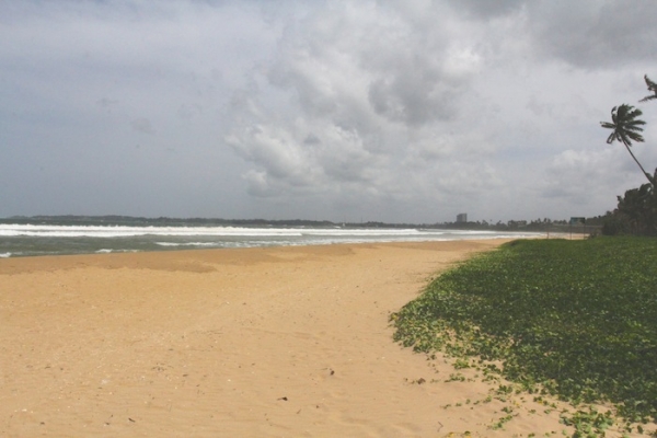 Rare Piece of Land In Palana