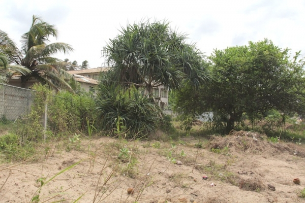 Rare Piece of Land In Palana