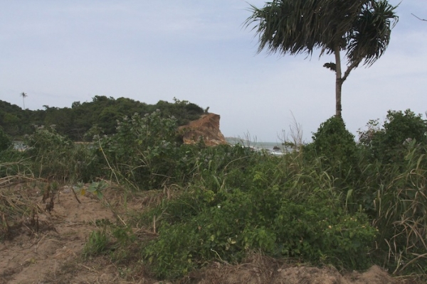 Rare Piece of Land In Palana