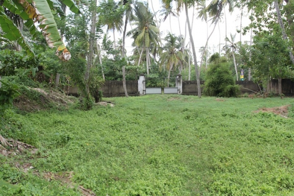 Prime Piece Of Property In Thalpe