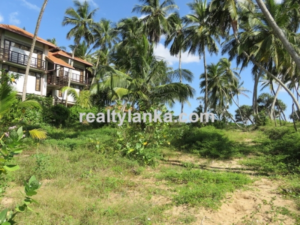 Beachfront Property In Rakawa