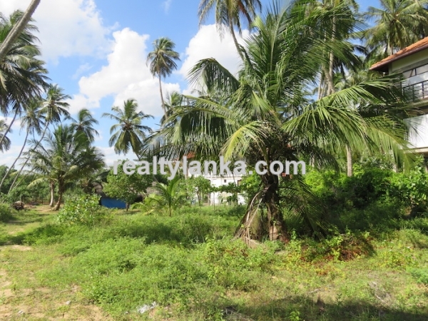 Beachfront Property In Rakawa