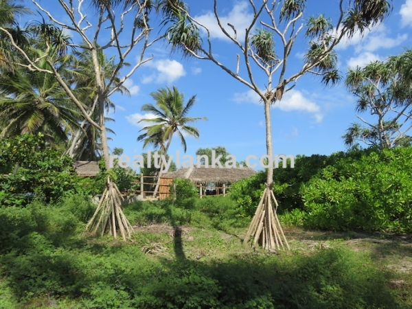 Beachfront Property In Rakawa