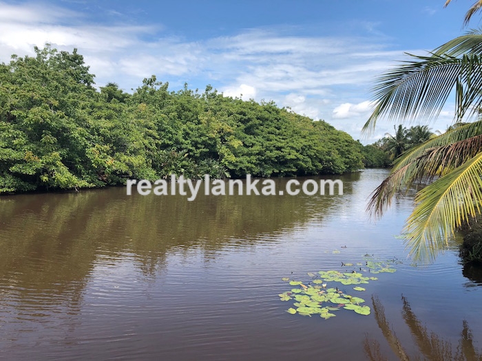 Bareland By The Water