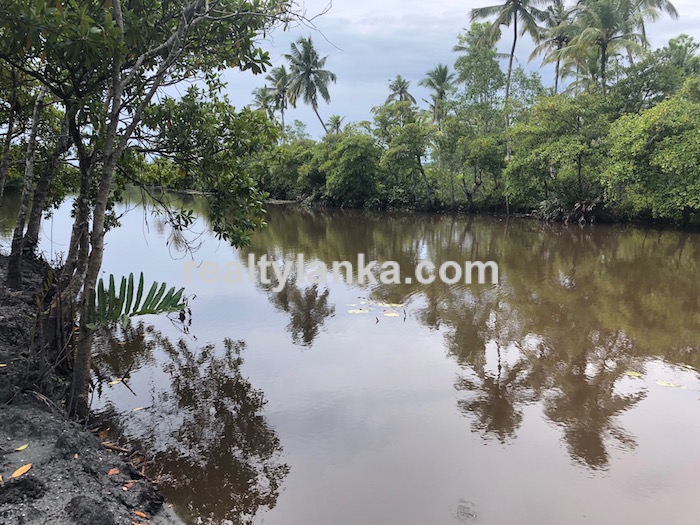 Bareland By The Water