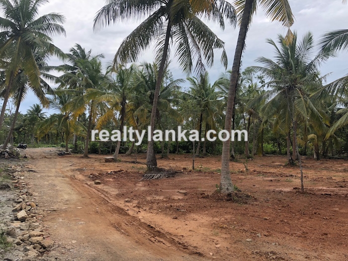 Bareland By The Water