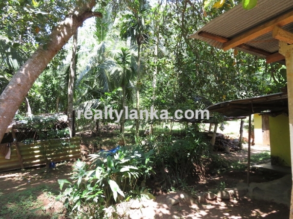 Property Near Hirikatiya Beach...
