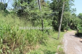 GI 139 - BareLand in Unawatuna